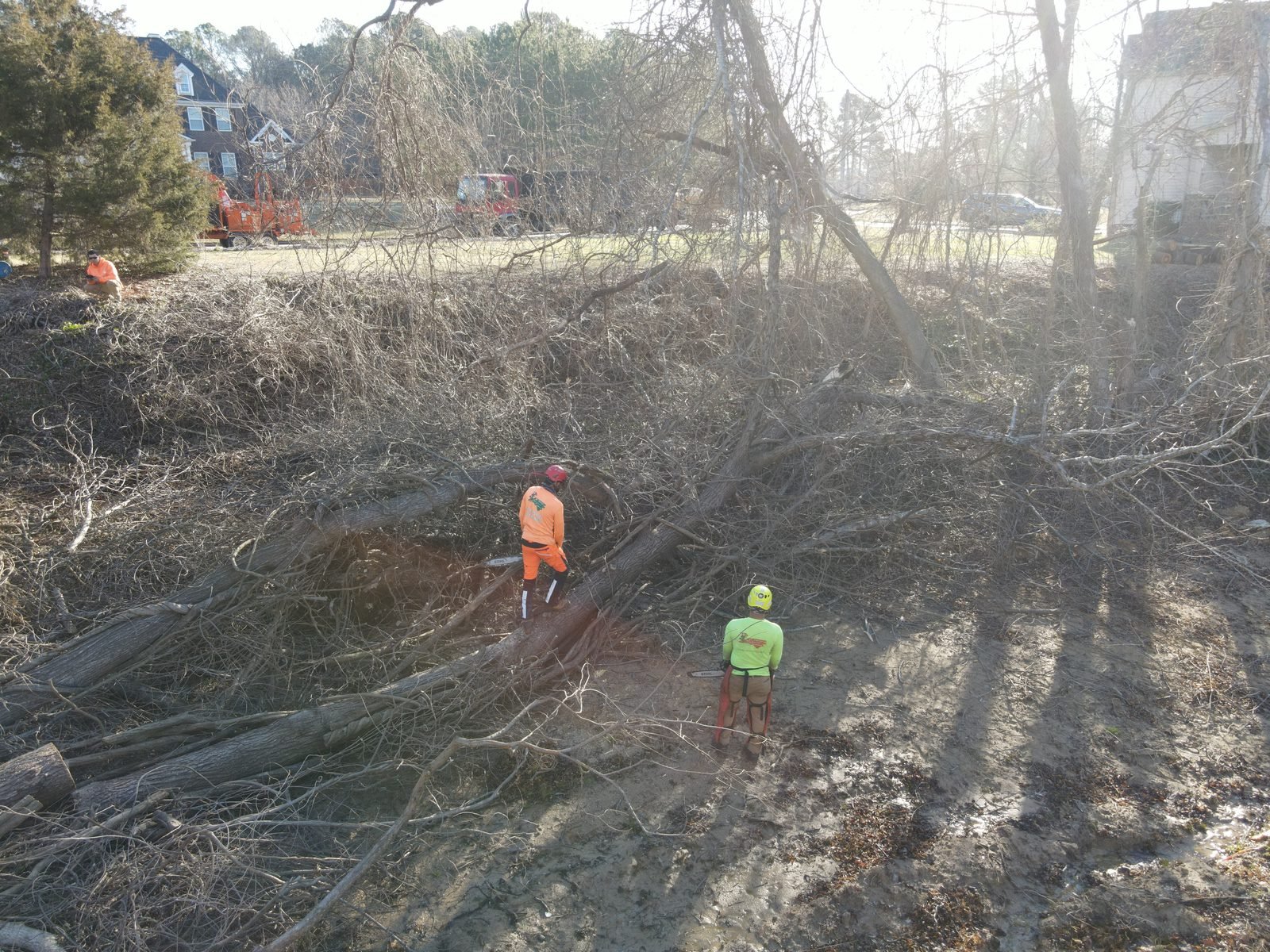 Wooded residential lot mid-clearing with debris piles