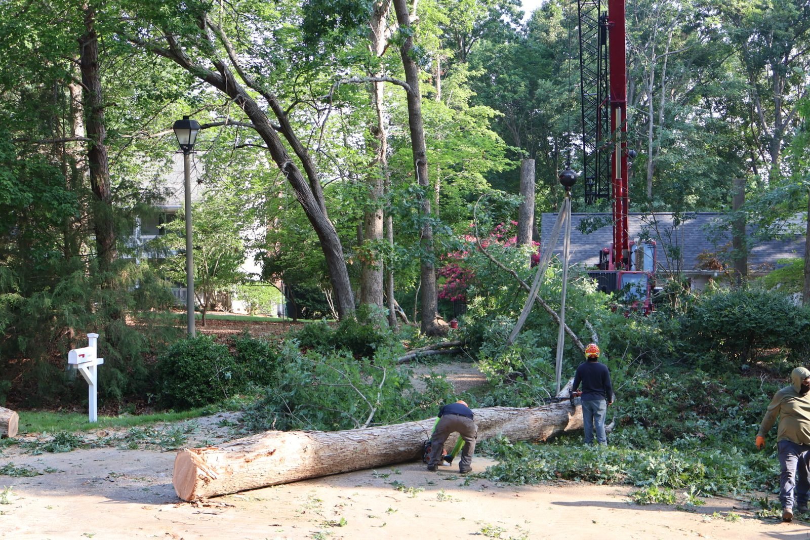Crane truck lifting a large felled log from a driveway